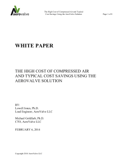 WHITE PAPER - The AeroValve Solution