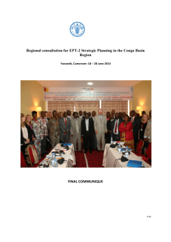 Regional consultation for EPT-2 Strategic