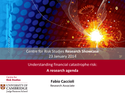 Download the presentation - Centre for Risk Studies