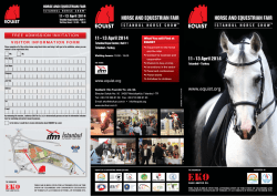 horse and equestrian fair horse and equestrian fair