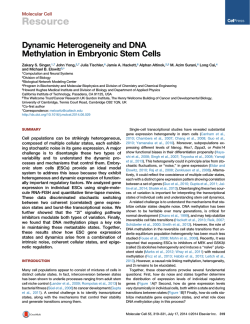 Dynamic Heterogeneity and DNA Methylation in Embryonic Stem Cells
