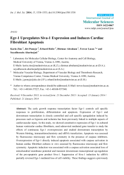 Egr-1 Upregulates Siva-1 Expression and Induces