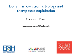 Bone marrow stroma: biology and therapeutic exploitation