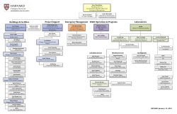 View Organization Chart