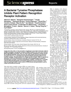 Downloaded - ResearchGate