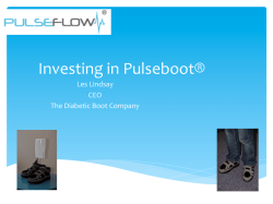 Investing in Pulseboot&reg;
