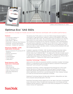 Optimus Eco™ SAS SSDs