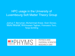 HPC usage in the UL Soft Matter Theory Group