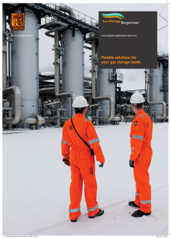 Brochure 2014 - Gas Storage Bergermeer