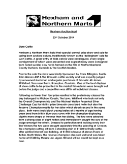 Hexham Auction Mart 23rd October 2014 Store Cattle Hexham