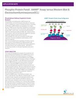 Download PDF
