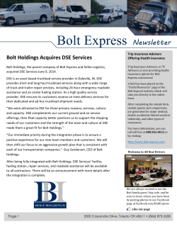 Bolt Holdings Acquires DSE Services