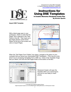 Instructions for Using DSE Templates