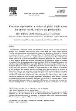 Download as a PDF