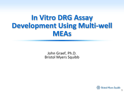 Development and optimization of an in vitro dorsal