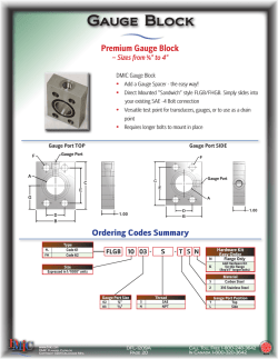 Download Gauge Block PDF
