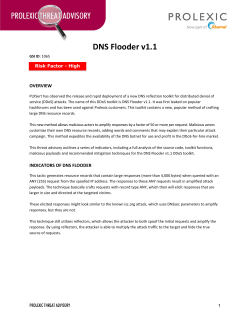 Threat Advisory: DNS Flooder