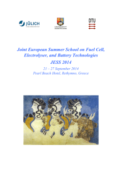 Joint European Summer School on Fuel Cell, Electrolyser, and
