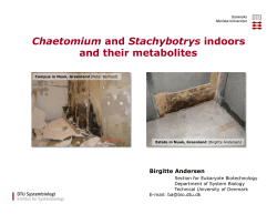 Chaetomium and Stachybotrys indoors and their metabolites