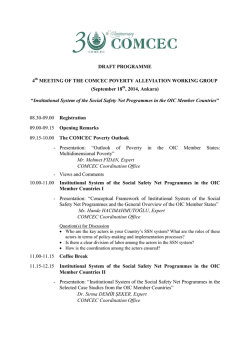 Institutional System