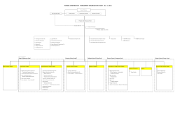TOSHIBA CORPORATION MANAGEMENT ORGANIZATION CHART