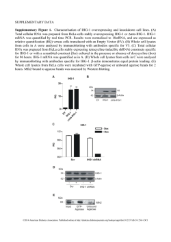 Supplementary Figures