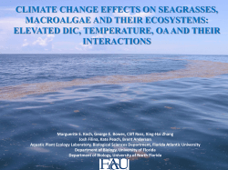 climate change effects on seagrasses, macroalgae