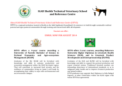 Advert - Sheikh Technical Veterinary School