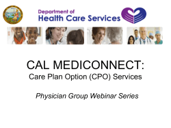 Care Plan Option Services
