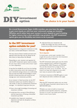 DIY investment option Fact sheet
