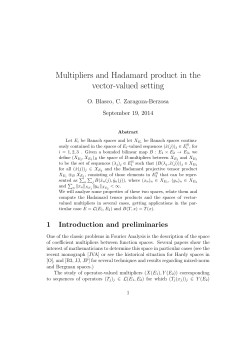 Multipliers and Hadamard product in the vector