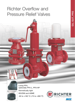Richter Overflow and Pressure Relief Valves