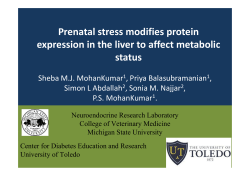 Prenatal stress modifies protein expression in the liver to affect