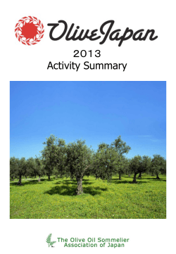 OLIVE JAPAN 2013 Activity Summary Report