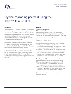Glycine reprobing protocol using the iBlot&reg; 7