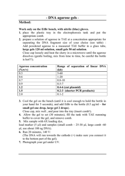 DNA agarose gels
