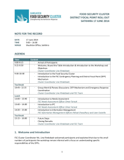 Minutes of FSC Workshop for DFPs - 17 June 2014