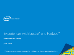 Experiences with Lustre* and Hadoop*