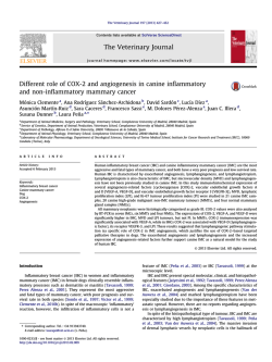 Different role of COX-2 and angiogenesis in canine inflammatory