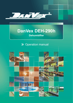 DanVex DEH-290h