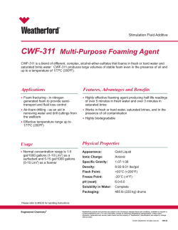 CWF-311 Multi-Purpose Foaming Agent