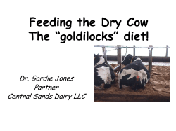 Feeding the Dry Cow The “goldilocks” diet!