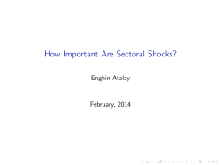 How Important Are Sectoral Shocks?