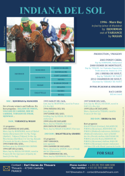 INDIANA DEL SOL - Haras de Thouars