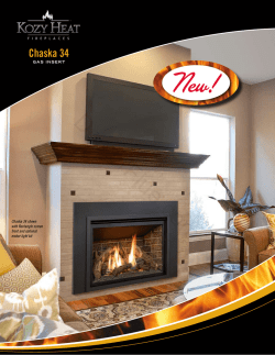 Chaska 34 Gas Insert