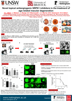 Download Poster