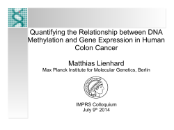 Quantifying the Relationship between DNA Methylation and Gene