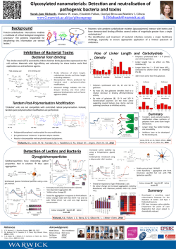 Glycosylated nanomaterials: Detec on and neutralisa on of