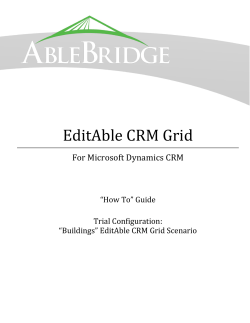 EditAble CRM Grid