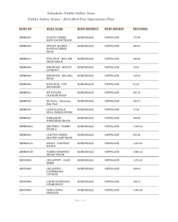 Report Document